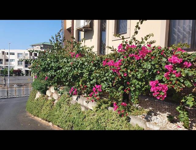 2 BEDROOM APARTMENT FOR SALE IN MARGATE BEACH